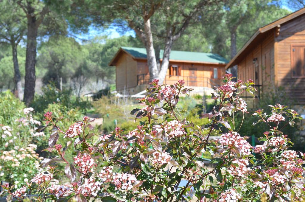 Apartamentos Paraje San Gines Andújar المظهر الخارجي الصورة